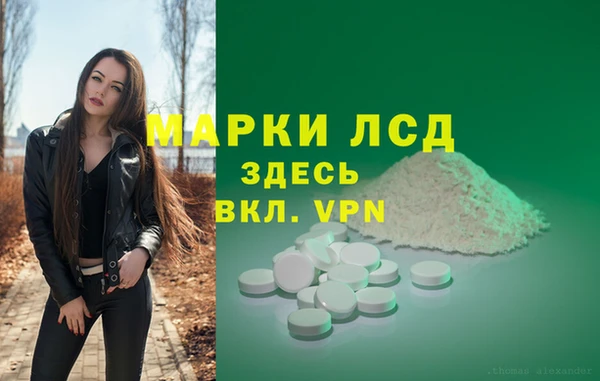 скорость Липки