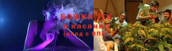 спиды Лиски