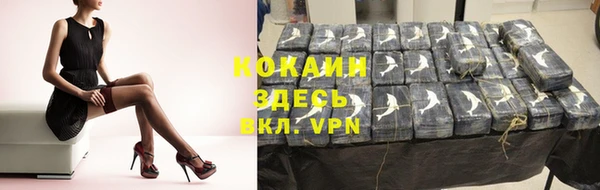 спиды Лиски