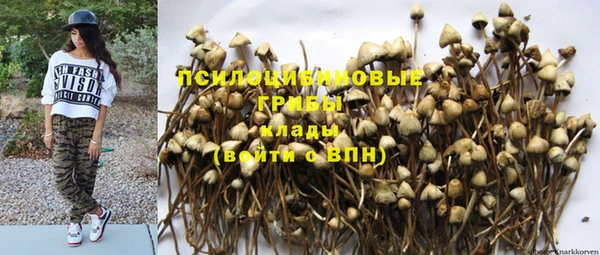 кокс Лихославль