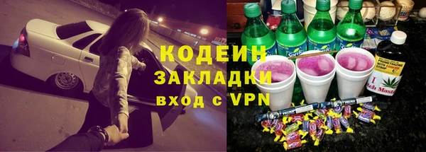 спиды Лиски