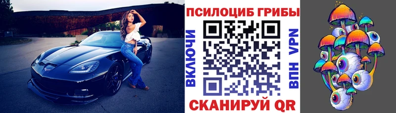 blacksprut вход  наркошоп  Черноголовка  Псилоцибиновые грибы мицелий 